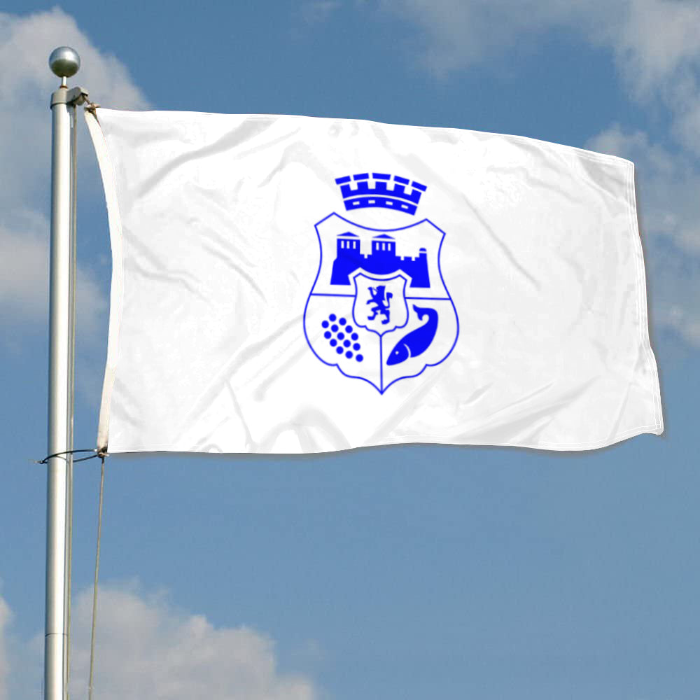 Fyon Vidin City and Province, Bulgaria Flag Indoor and outdoor banner