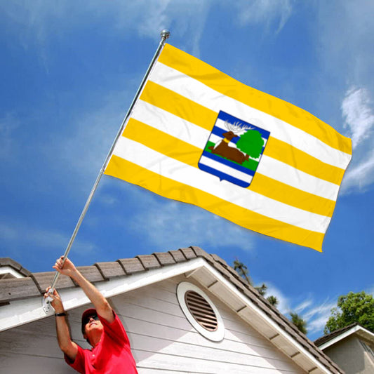 Fyon Vukovar Syrmia, Croatia Flag Indoor and outdoor banner