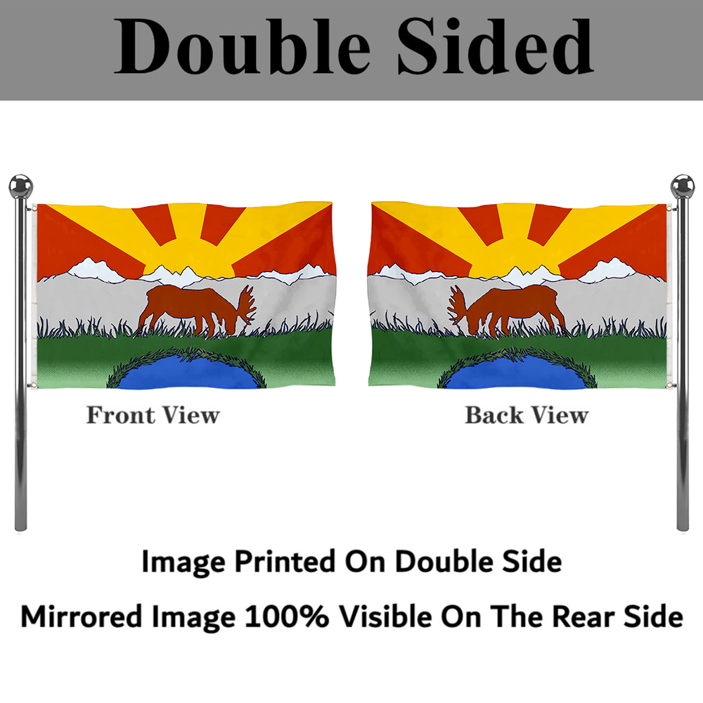 Fyon Wasilla, Alaska Flag   Banner