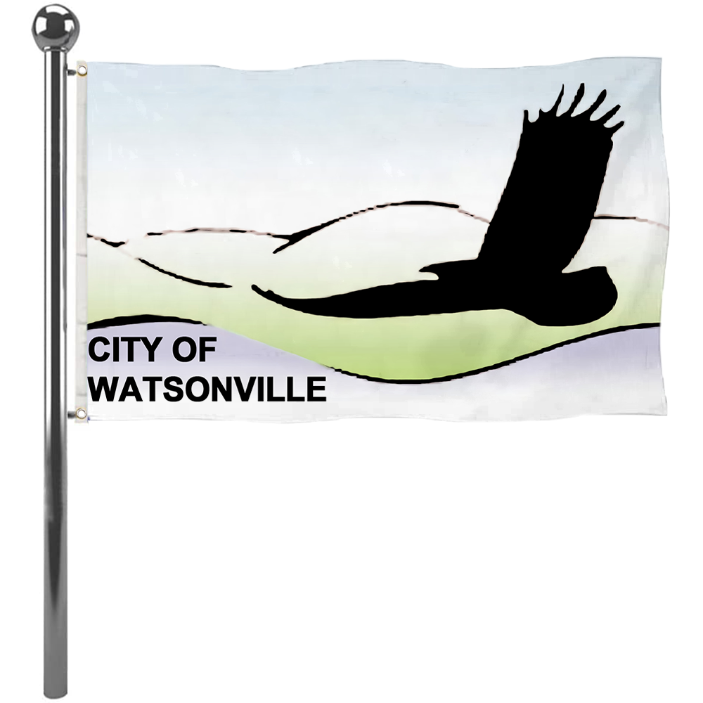 Fyon Watsonville, California Flag Banner