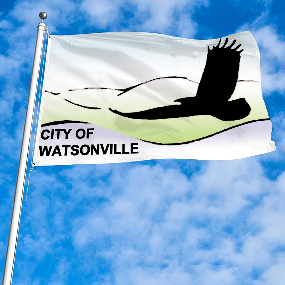 Fyon Watsonville, California Flag Banner