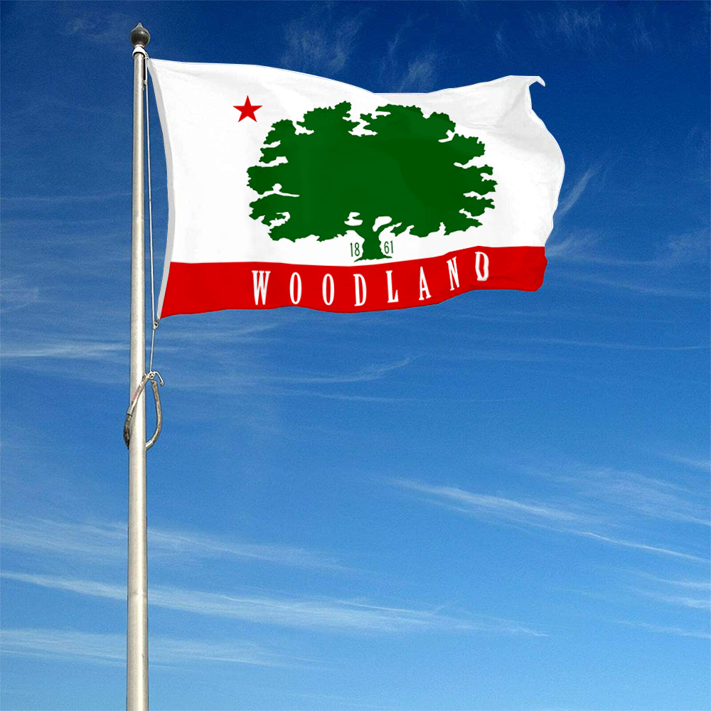 Fyon Woodland, California Flag Banner