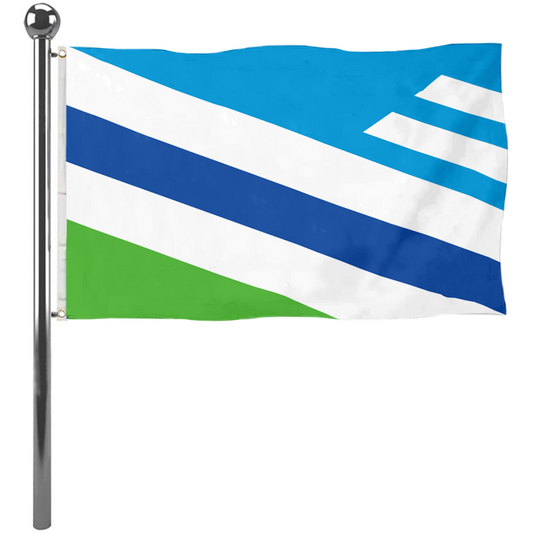 Fyon the City of Dayton, Ohio Flag banner