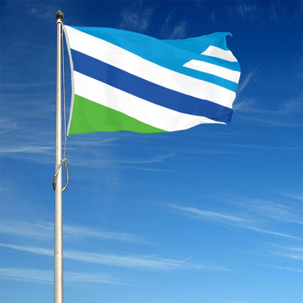 Fyon the City of Dayton, Ohio Flag banner