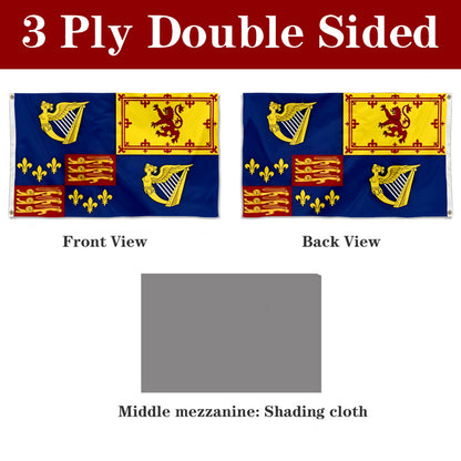 Fyon Irish Jacobite Royal Standard Flag Banner