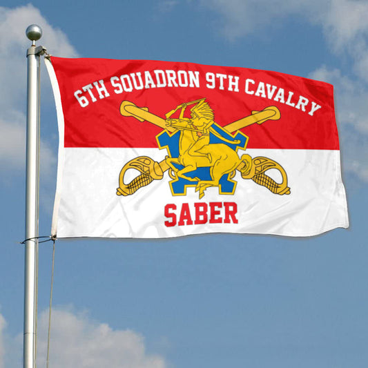 Fyon 6th Souadron 9th Cavalry Flag Banner Saber Indoor and outdoor banner