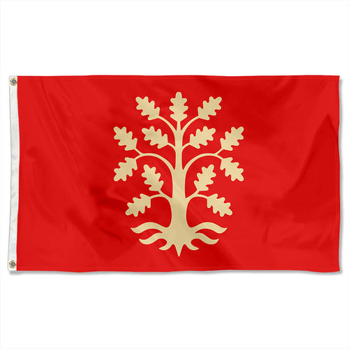 Fyon Agder County, Norway Flag   Indoor and outdoor banner