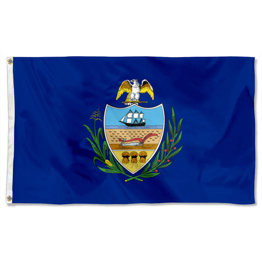 Fyon Allegheny County Flag Banner