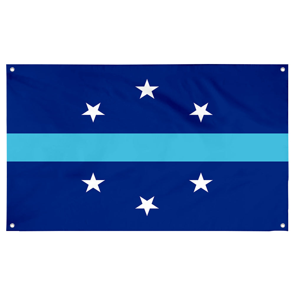 Fyon Anaheim, California Flag(2018–present) Flag Banner