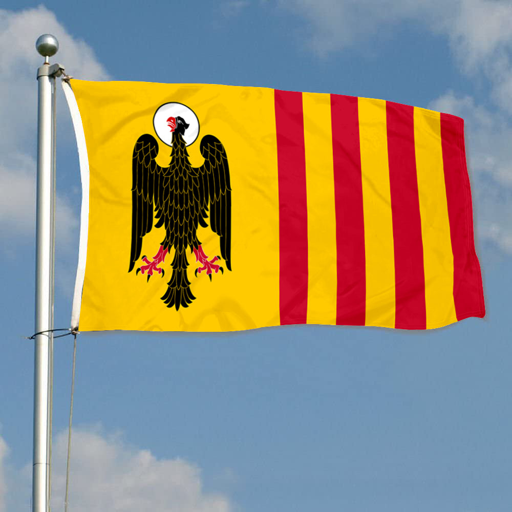 Fyon Bandera de Morovis , Puerto Rico Flag Banner