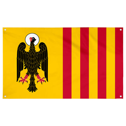 Fyon Bandera de Morovis , Puerto Rico Flag Banner