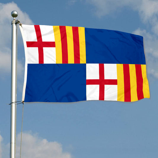 Fyon Barceloneta, Puerto Rico Flag Banner