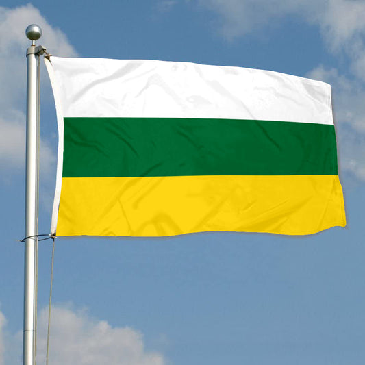 Fyon Barranquitas, Puerto Rico Flag Banner