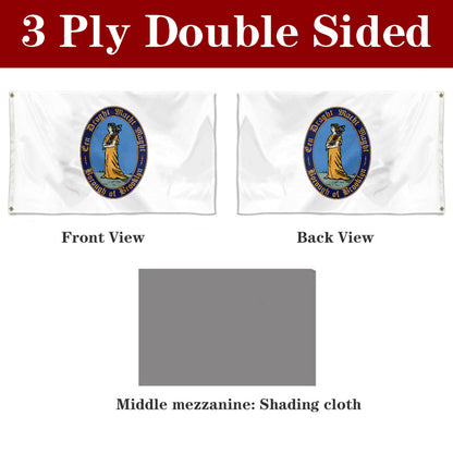 Fyon Brooklyn Kings County Flag Banner