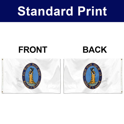 Fyon Brooklyn Kings County Flag Banner
