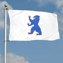 Fyon Double-sided Buskerud County, Norway Flag Banner