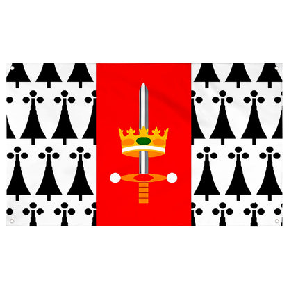 Fyon Carolina, Puerto Rico Flag Banner