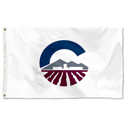Fyon Chandler, Arizona Flag Banner