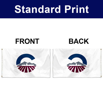 Fyon Chandler, Arizona Flag Banner