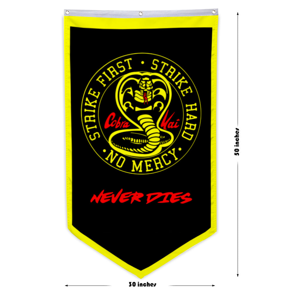 Cobra Kai Neon Logo Gradient Fleece Blanket – Cobra Kai Store