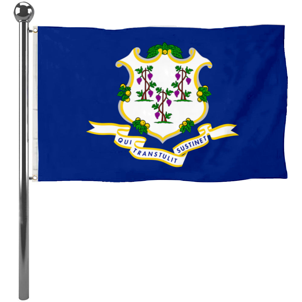 Fyon Connecticut Flag Banner