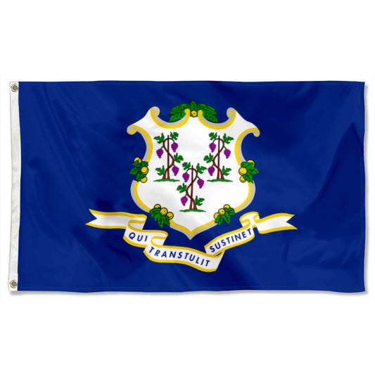 Fyon Connecticut Flag Banner