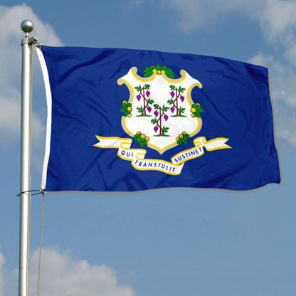 Fyon Connecticut Flag Banner