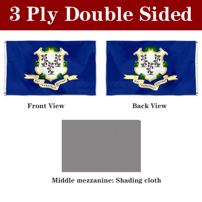 Fyon Connecticut Flag Banner