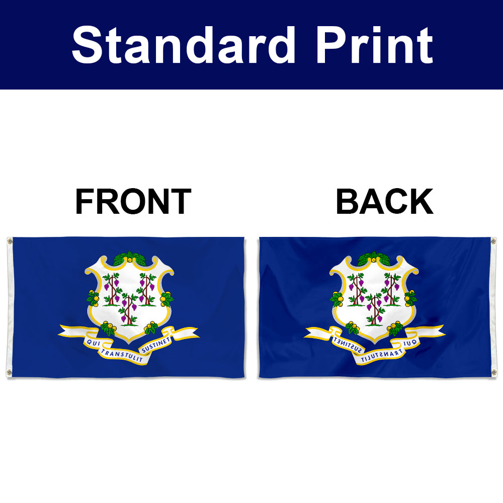 Fyon Connecticut Flag Banner
