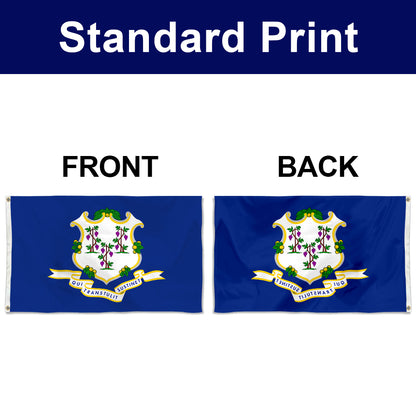 Fyon Connecticut Flag Banner