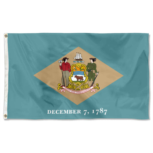 Fyon Delaware Flag Banner