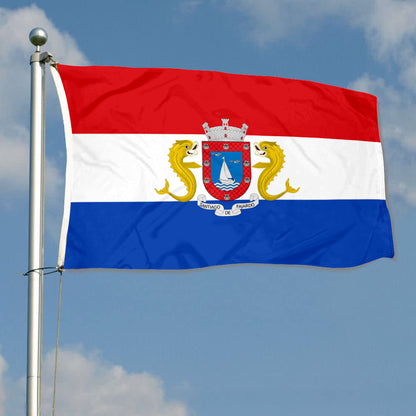 Fyon Fajardo, Puerto Rico Flag Banner