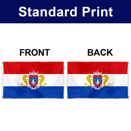 Fyon Fajardo, Puerto Rico Flag Banner