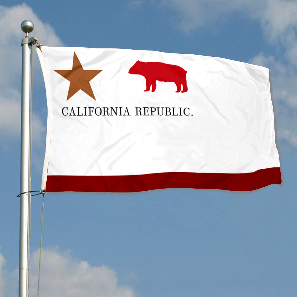 Fyon First Bear of California (1846) Flag Banner