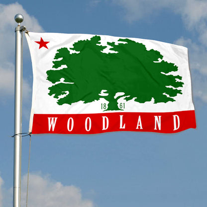 Fyon Woodland, California Flag Banner