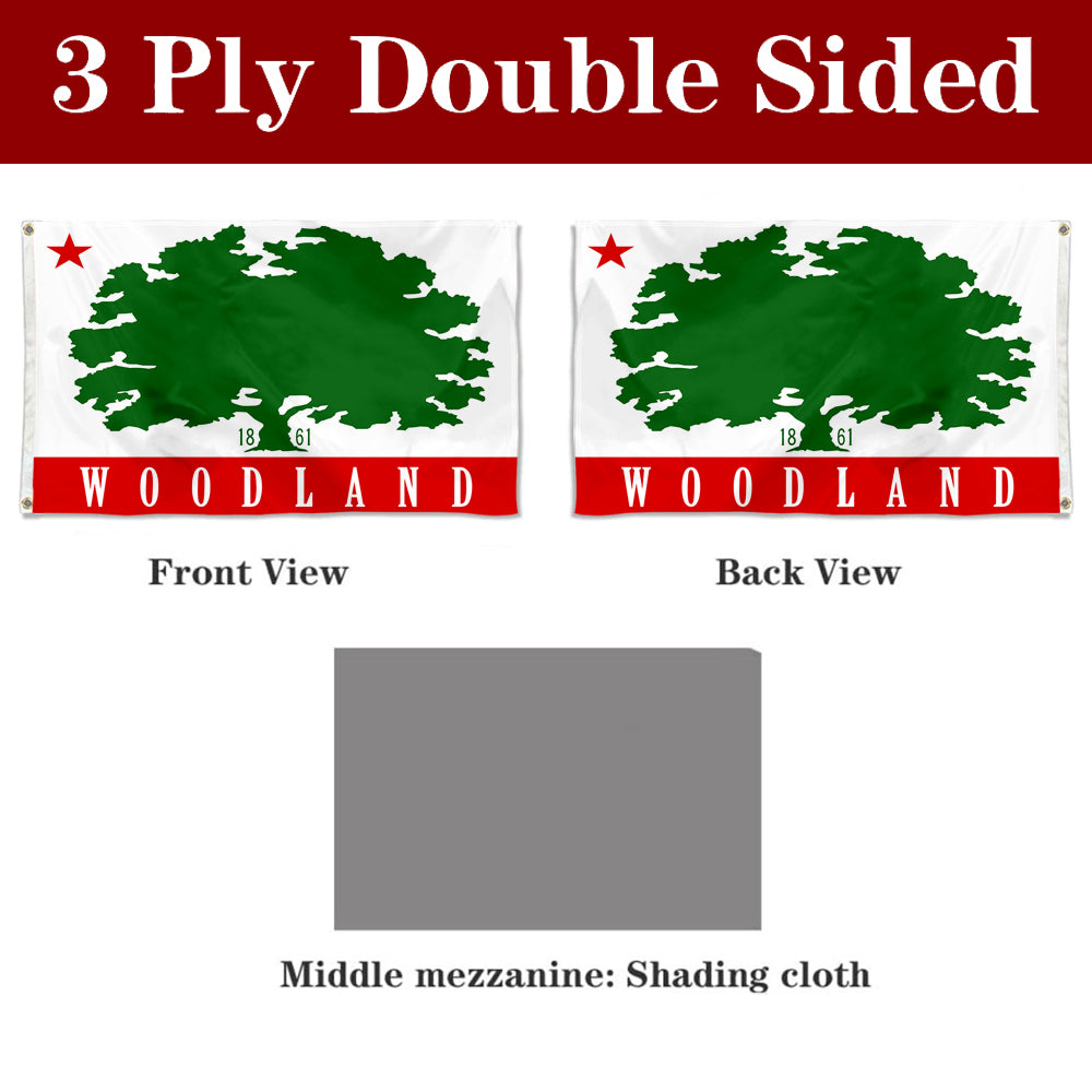 Fyon Woodland, California Flag Banner