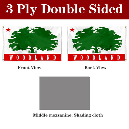 Fyon Woodland, California Flag Banner