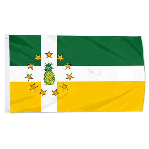 Fyon Lajas, Puerto Rico Flag Banner 92323
