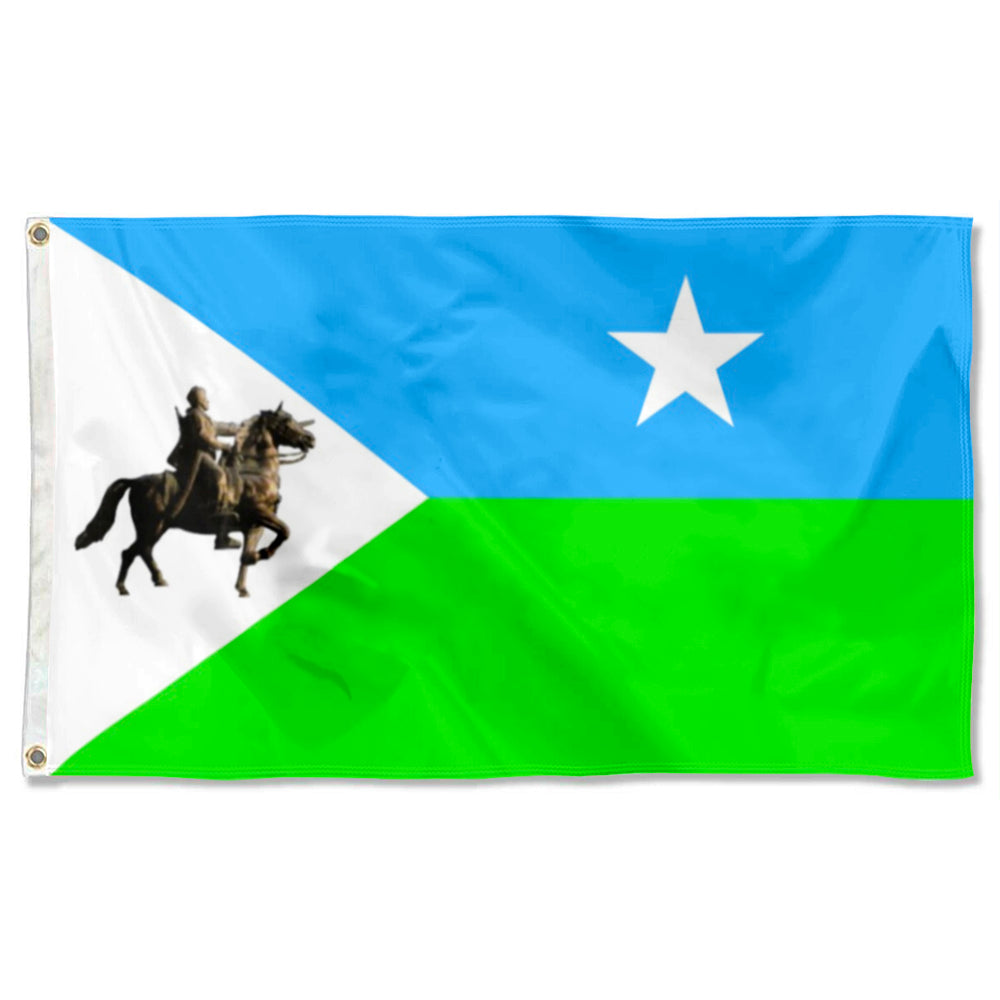 Fyon Flag of North Eastern State of Somalia Flag Banner