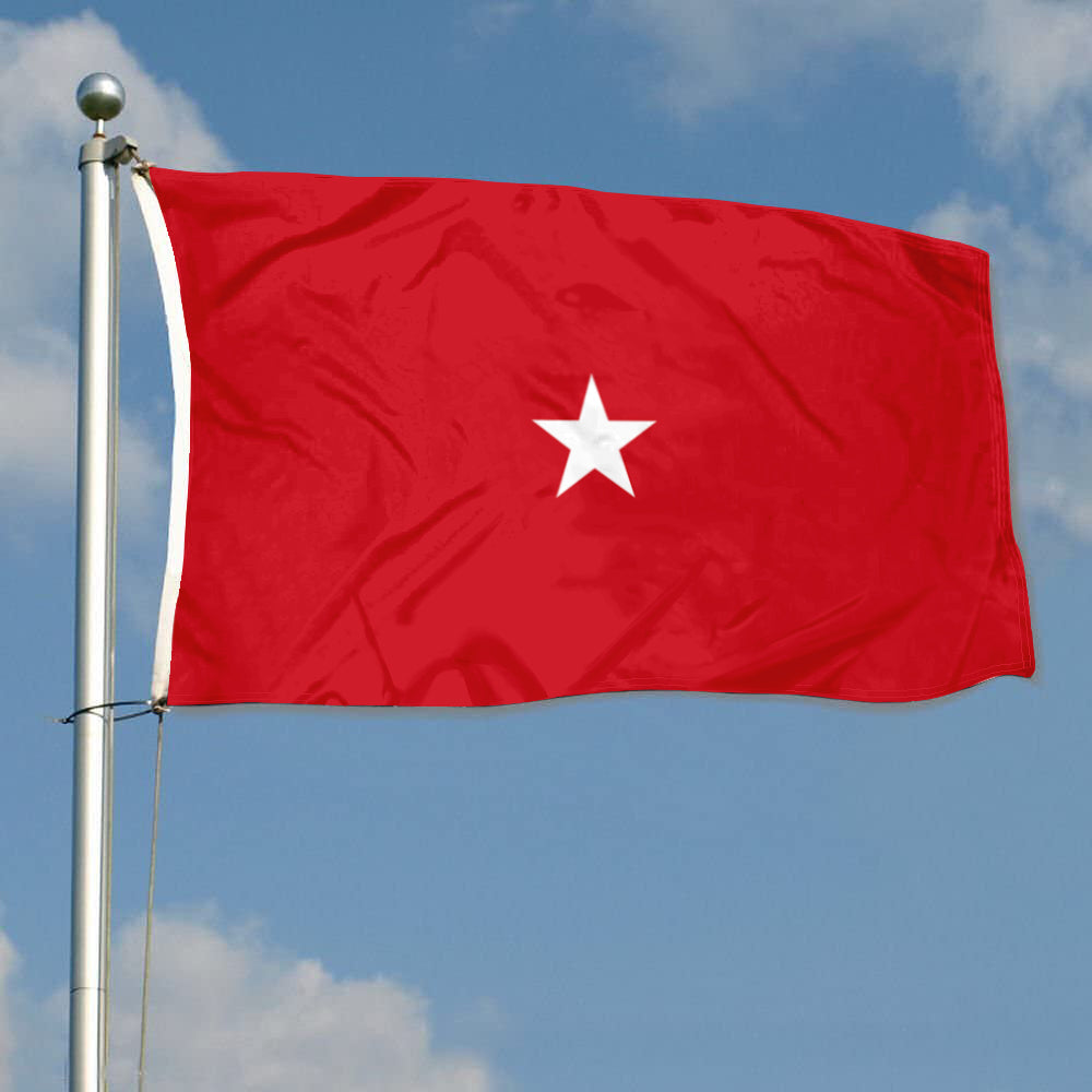 Fyon US brigadier general Flag Banner