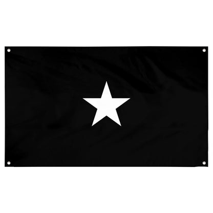 Fyon A Space Force brigadier general Flag Banner