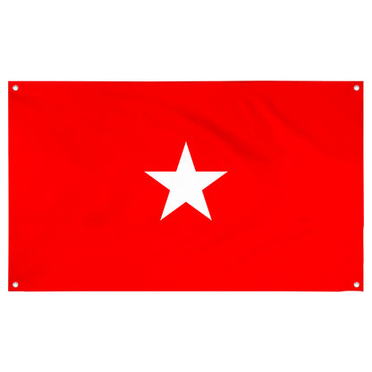 Fyon An Army brigadier general Flag Banner