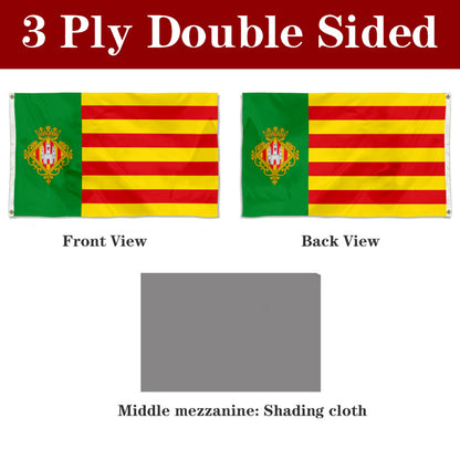 Fyon Castellón de la Plana Valencian Community, Spain Flag banner