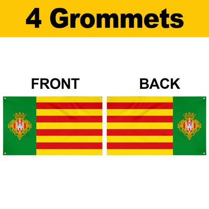 Fyon Castellón de la Plana Valencian Community, Spain Flag banner