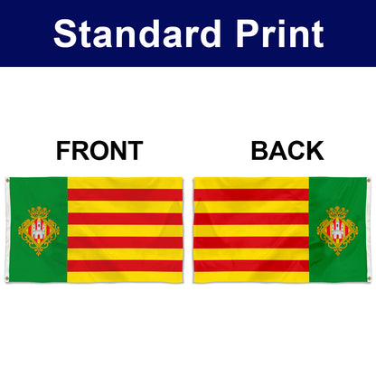 Fyon Castellón de la Plana Valencian Community, Spain Flag banner