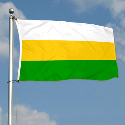 Fyon Guayanilla, Puerto Rico Flag Banner