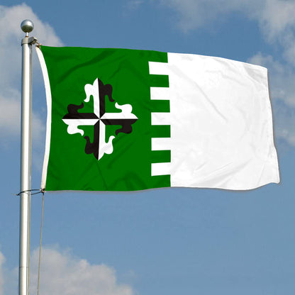 Fyon Guaynabo, Puerto Rico Flag Banner