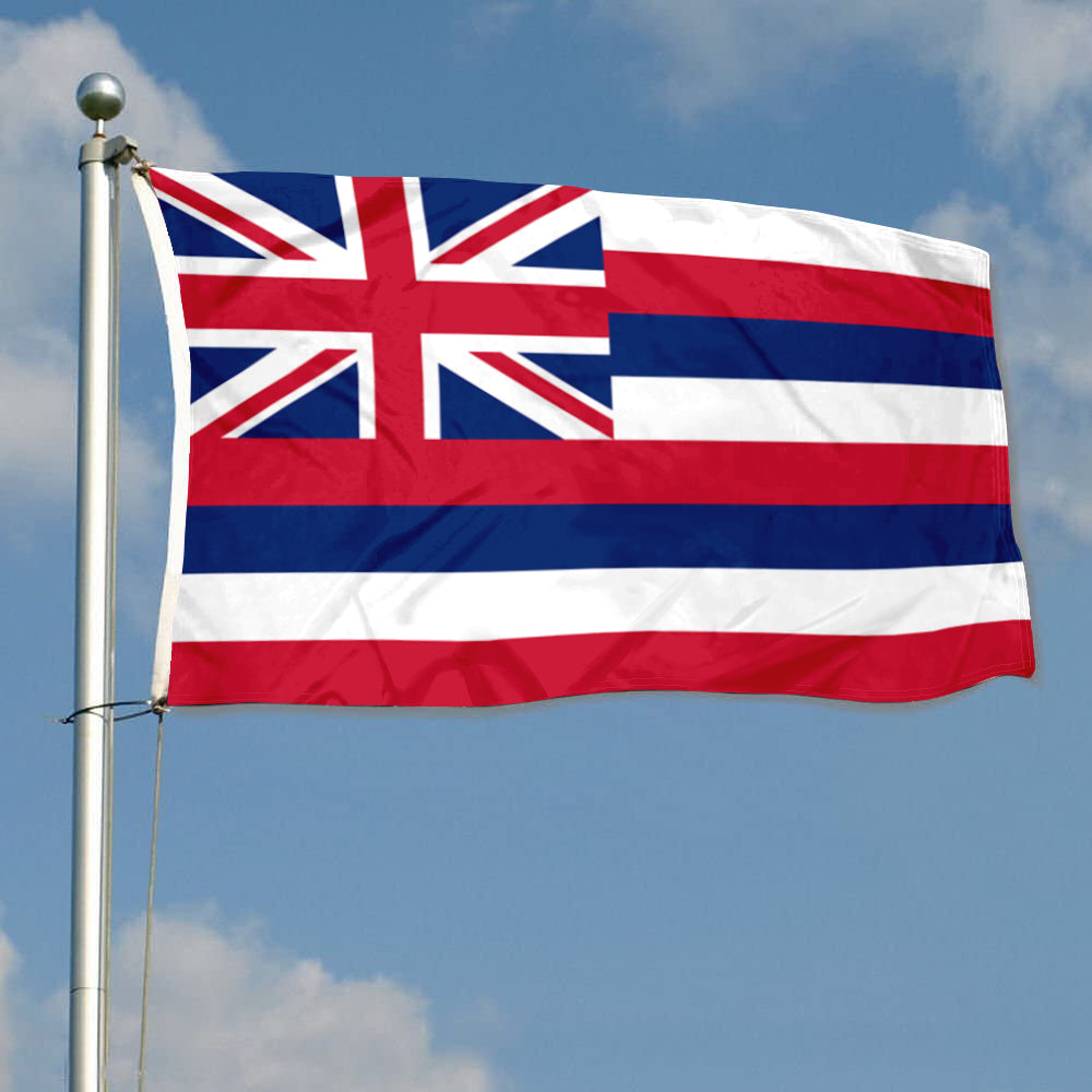 Fyon Hawaii Flag Banner