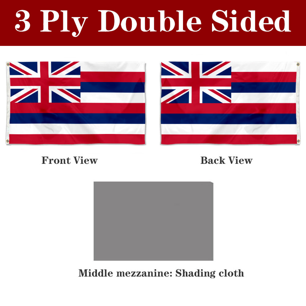 Fyon Hawaii Flag Banner