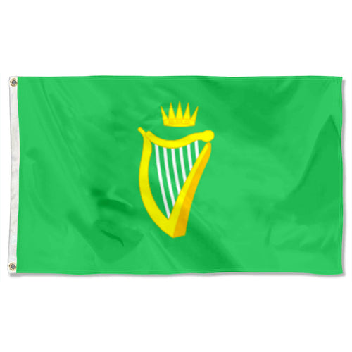 Fyon Ireland Green Flag Flag Banner 27x54inch